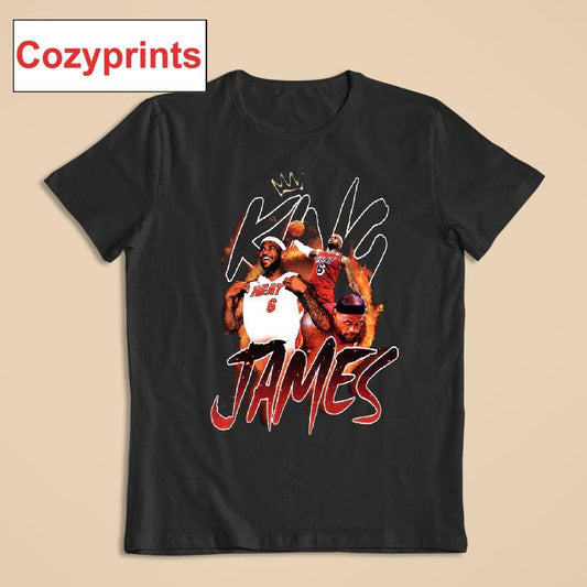 Lebron James Miami Heat Vintage T-shirt